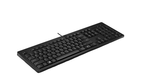 Tastatura HP 125 Wired USB (266C9AA)